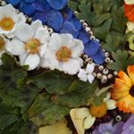 Profile Picture of Aileen Edwards (@aileenedwards) on Instagram