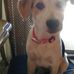 Profile Picture of James Parmenter (@james.parmenter.395) on Facebook