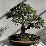 Profile Picture of John Christopher Pope (@johnpope5) on Instagram