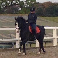 Profile Picture of Joanna Wheeler (@joanna-wheeler-6) on Quora