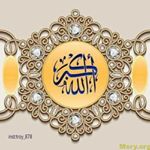 Profile Picture of Aysheh Hamdan (@hamdanaysheh) on Instagram