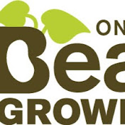 Profile Picture of Ontario Bean Growers (@ontariobeangrowers207) on Youtube