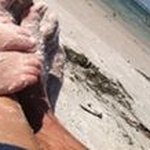 Profile Picture of Mandy Boyd (@mandy.boyd.792) on Instagram