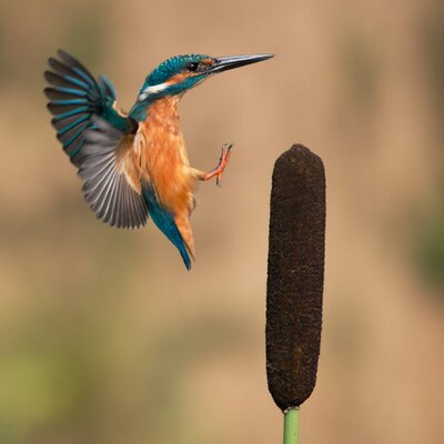 Profile Picture of Steve Hatch (@stevehatch99) on Twitter