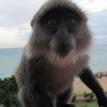 Profile Picture of Andrew Kozik (@koz.and) on Instagram