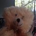 Profile Picture of Herbert Morrell (@Herbert-Morrell) on Facebook