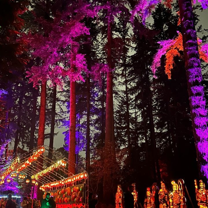 Profile Picture of Vanshika Sharma (@vannshika26) on Tiktok