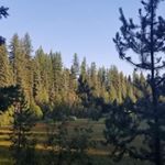 Profile Picture of Hyrum Hunter (@castironscout2.0) on Instagram