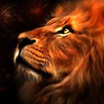 Profile Picture of Brendon Webb (@brendonwebb88) on Instagram