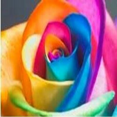 Profile Picture of Andrea Ruby (@andrearuby57) on Twitter