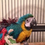 Profile Picture of Laney Smith (@pickupsmithy) on Instagram