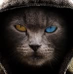 Profile Picture of Bertha Chambers (@Bertha-Chambers) on Facebook