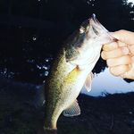 Profile Picture of Wriggins terry (@wrigginsterry) on Instagram