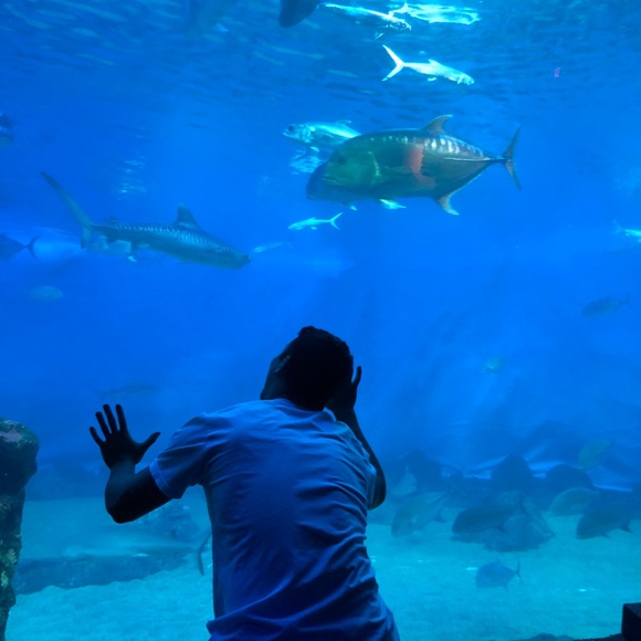 Profile Picture of Kyle Hobson (@kylehobs) on Poshmark