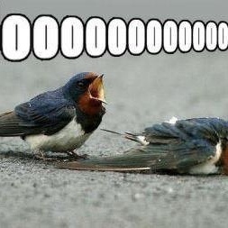 Dustin Scofield - Myspace Profile Picture of Dustin Scofield (@dustin_scofield) on Myspace