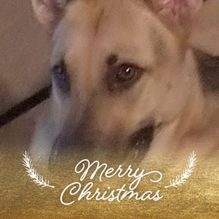 Profile Picture of Tony Barrientez (@tony.barrientez.37) on Facebook