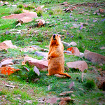 Profile Picture of Eileenlin1920 (@eileenlin1920) on Flickr