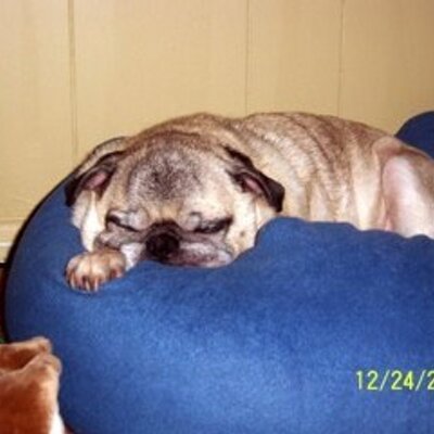 Profile Picture of Cathy Harbison (@hsrbison) on Twitter
