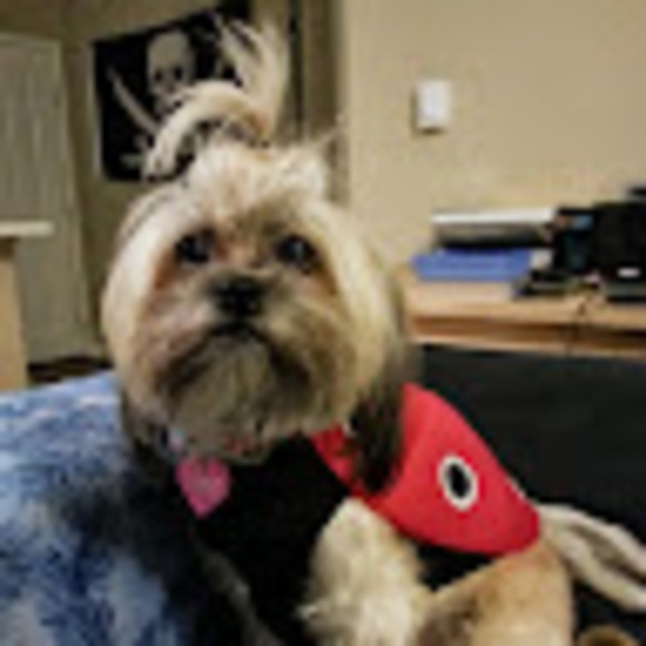 Profile Picture of Lisette Betsinger (@bluskihi) on Poshmark