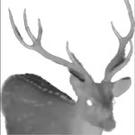 Profile Picture of Scott Vinklarek (@all_in_exotic_hoofstock) on Instagram