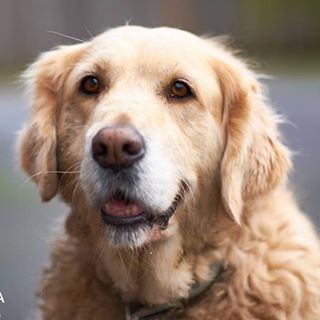 Profile Picture of Peter Wilkes (@peter.wilkes.526) on Facebook