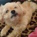 Profile Picture of Terrie Hultquist (@Terrie-Hultquist) on Facebook