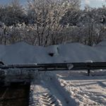 Profile Picture of Marshallwesson (@marshallwesson92) on Instagram