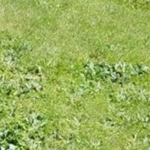 Profile Picture of Cory Frame (@coryframe) on Poshmark