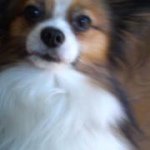 Mio Hayashi - Instagram Profile Picture of Mio Hayashi (@miorion) on Instagram