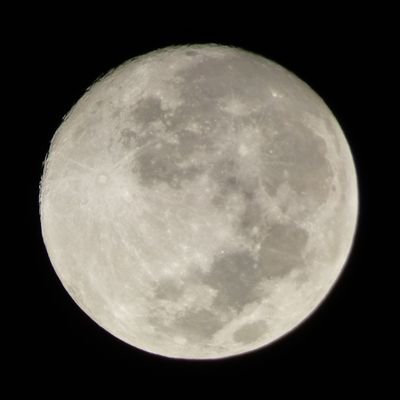 Profile Picture of Jose Rios Ballon (@jose_riosb) on Twitter