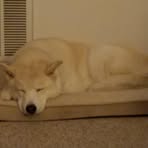 Profile Picture of Joseph Popiel (@josephpopiel) on Facebook