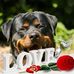 Profile Picture of Patrick Snel (@patrick.snel.39) on Facebook