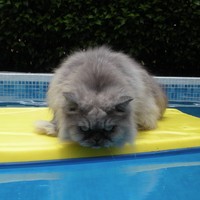 Profile Picture of James Hennessey (@james-hennessey-14) on Quora