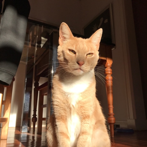 Profile Picture of Isabella James (@bellajames2002) on Poshmark