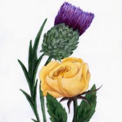 Profile Picture of Patricia Gardener (@Trishiboo) on Twitter