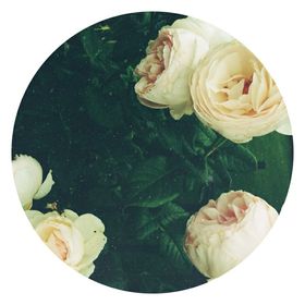 Mónica Galván Mason - Pinterest Profile Picture of Mónica Galván Mason (@monigr) on Pinterest