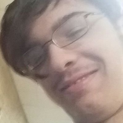 Profile Picture of Sean Ohearn (@Lightcreeper290) on Twitter