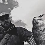 Profile Picture of David (@_davidbrueckner_) on Instagram