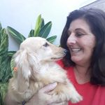 Profile Picture of Chris Pet Hotel (@chrispetsitter) on Instagram