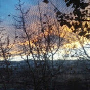 Profile Picture of Joyce Graham (@joycegraham6353) on Youtube