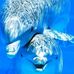 Profile Picture of Joann Scully (@joann.scully.98) on Facebook