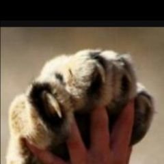 Profile Picture of Oscar Gomez Rodrigue (@OscarGomezRodr4) on Twitter