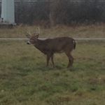 Profile Picture of Kevin Haywood (@kevin_haywood__) on Instagram