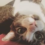 Profile Picture of José Antonio García Ayuso (@ayuso_jose) on Instagram