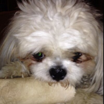 Profile Picture of Brian Pauleen (@BrianPauleen) on Twitter