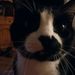 Profile Picture of Terry Hause (@thause) on Pinterest