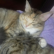 Profile Picture of Maha Adam (@mahakassem22) on Youtube