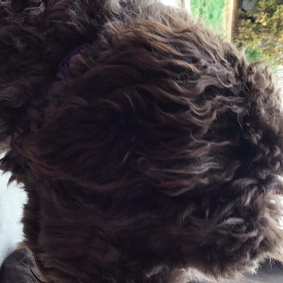 Profile Picture of Misty Buskill (@misty_buskill) on Poshmark