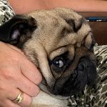 Profile Picture of bezonaaaa (@bezonaaaa) on Instagram