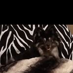 Profile Picture of Kelly Marie Bigner (@Kelly-Marie-Bigner) on Facebook